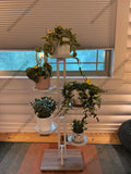 Multi Tier Wood & Metal Plant Stand | Indoor Plant Stand | Plant Rack | Tiered Plant Stand | Plant Pot | Flower Stand | Plant Lover Gift